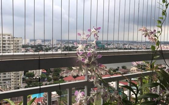 apartment for rent in district 2 u hcmc D205017 (3)